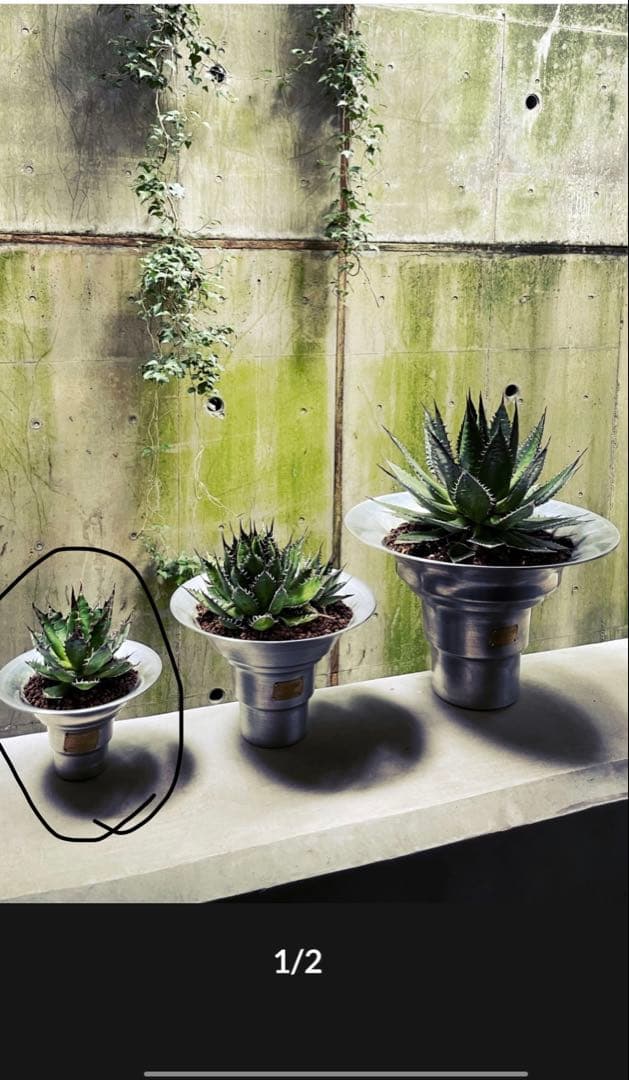 M&m×masses TYPE2【Shade】Aluminum キムタク