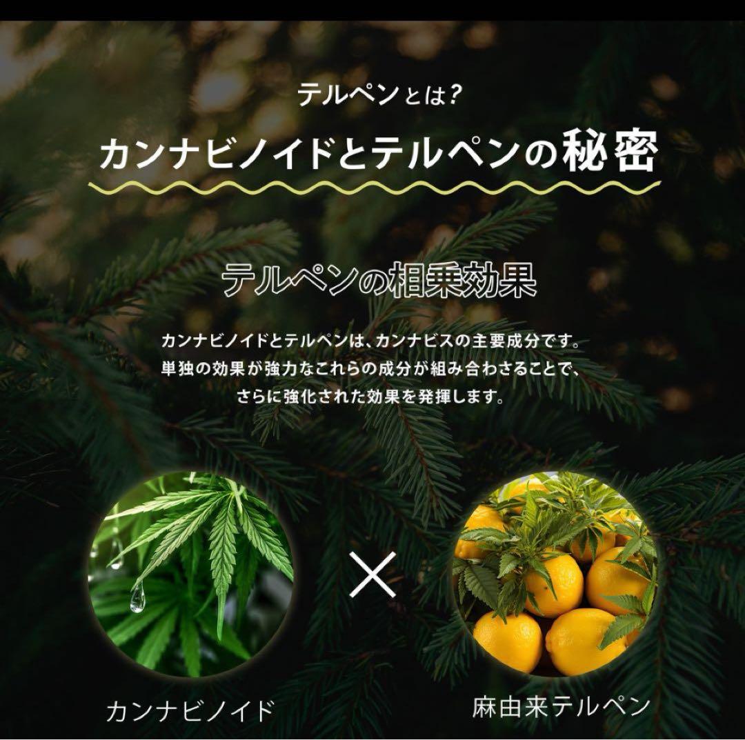 【leadface　即日発送】CNP 1ml hybrid cbp