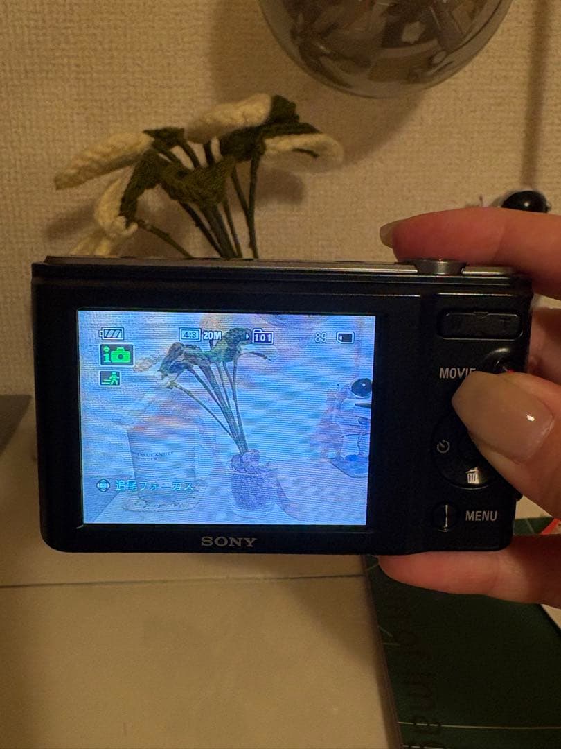 【美品】SONY Cyber-shot DSC-W810