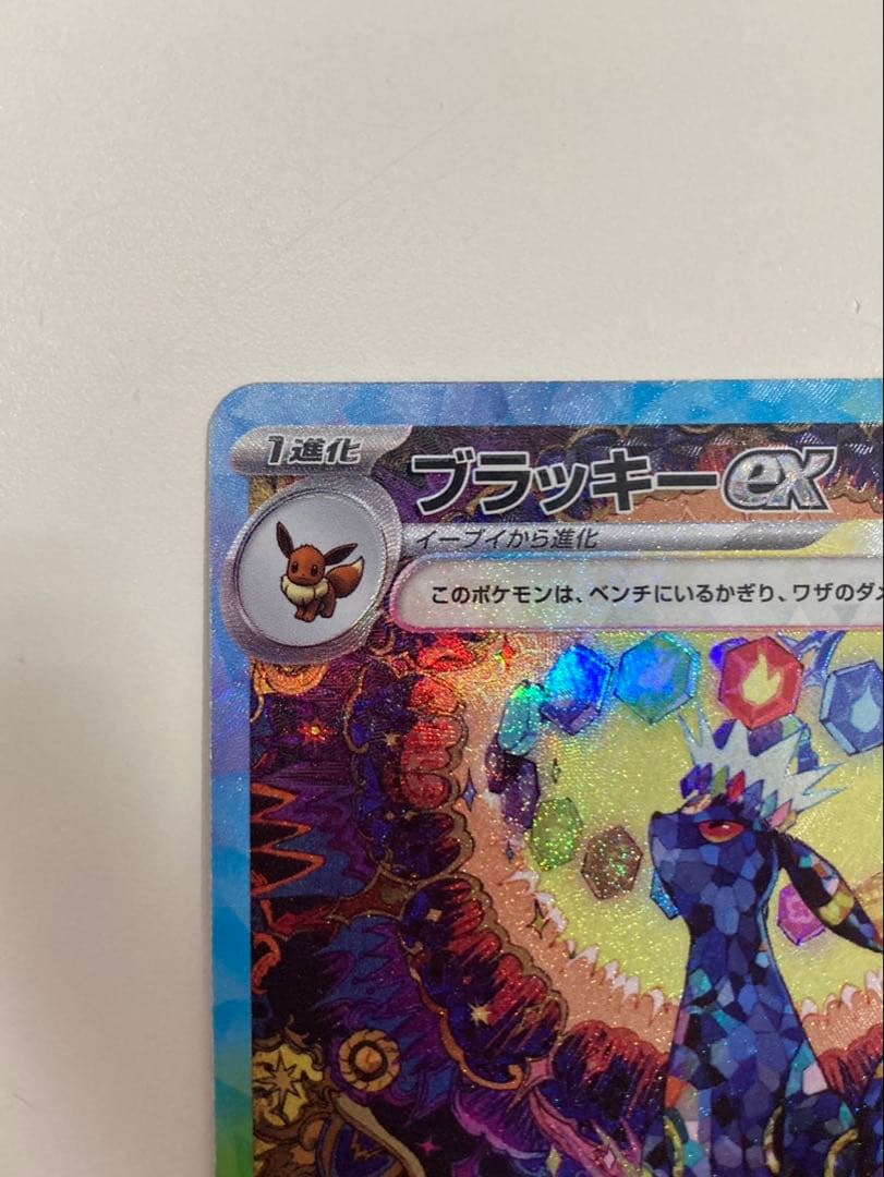 ブラッキーex SAR テラスタルフェス