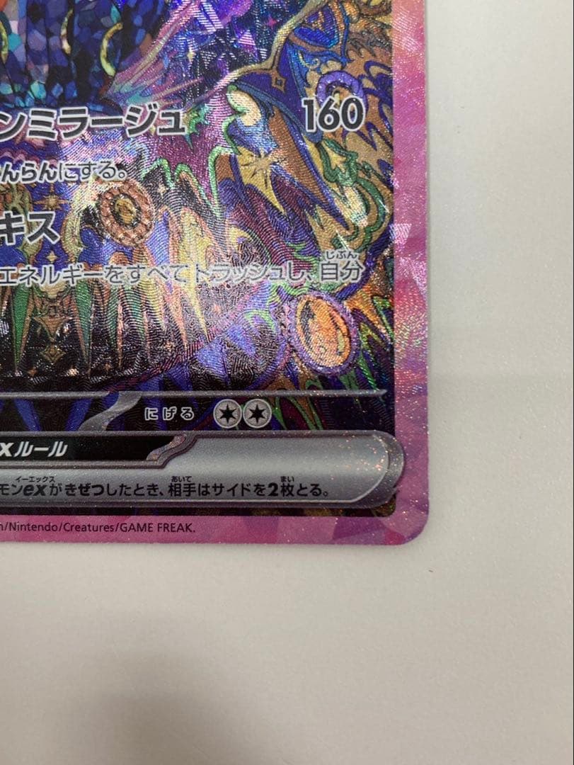 ブラッキーex SAR テラスタルフェス