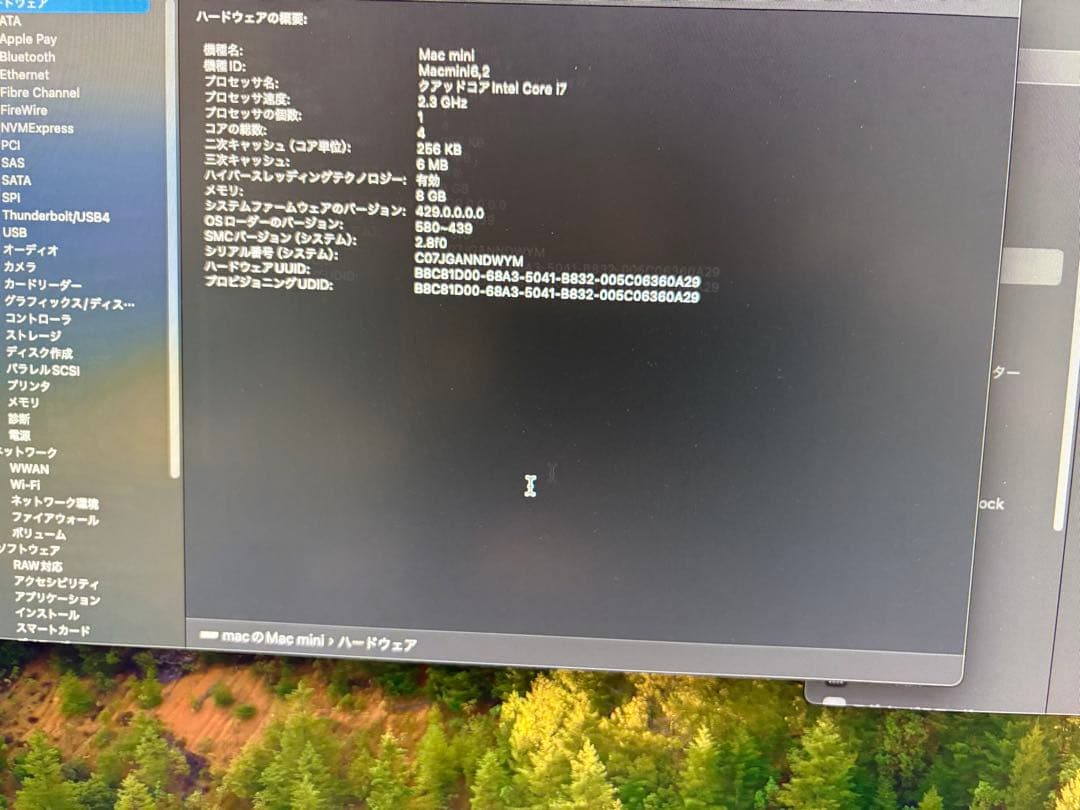 中古 Mac mini (2012) i 7+ 8GB +SSD + HDD