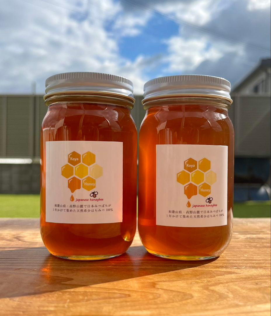 天然熟成2年　希少　日本みつばち 国産天然はちみつ100%600g(J1Y2箱)