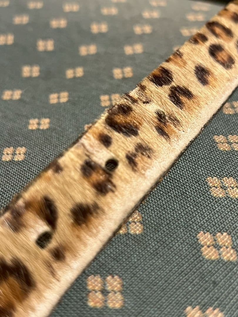 KAPITAL ヒョウ柄 ベルト