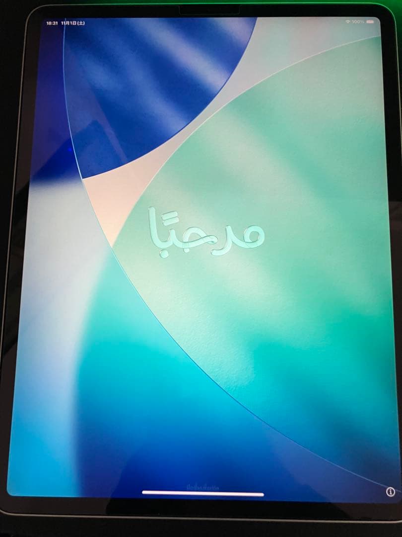 Apple iPad Pro 12.9インチ 第4世代 256GB シルバー