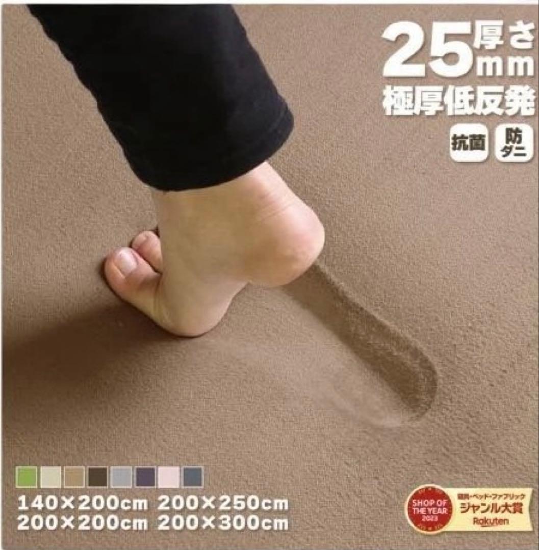 極厚低反発ラグマット　200×250cm
