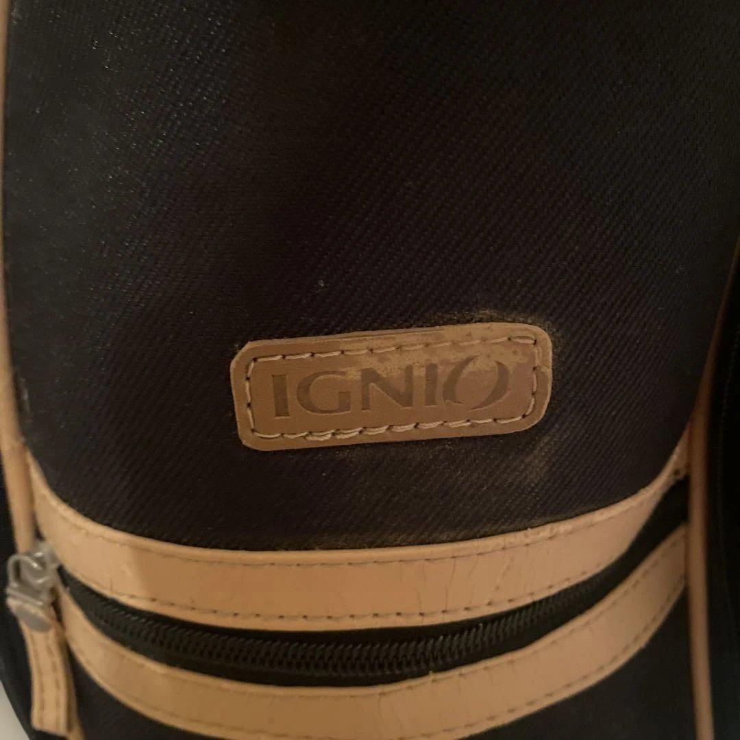 【中古美品】IGNIO ゴルフクラブセット 8本セット　ゴルフバッグ付き