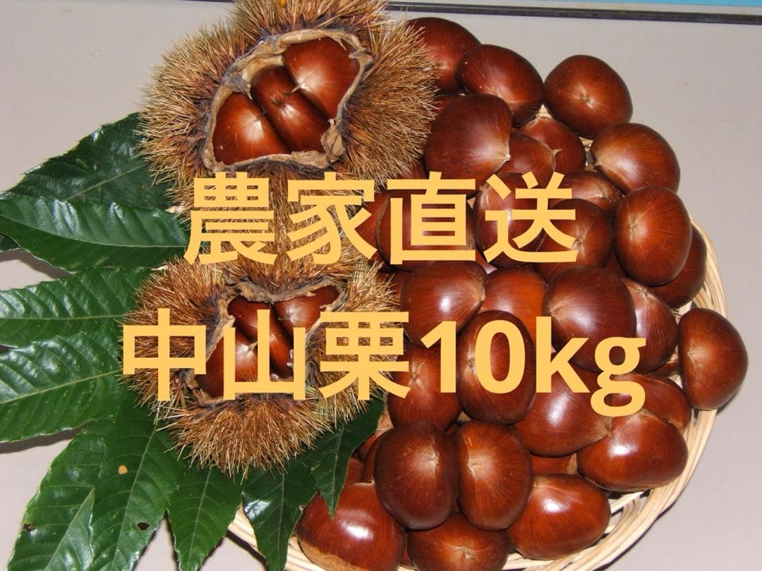 幻の栗⭐︎中山栗2L~4L混合10kgクール便（匿名不可）農家直送2025-019