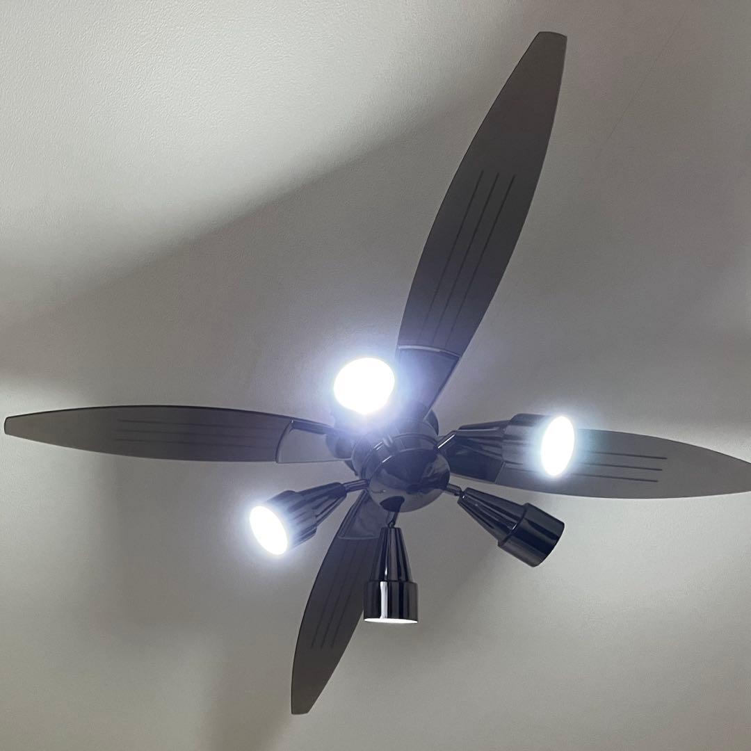 モダン ブラック シーリングファンライト　5灯