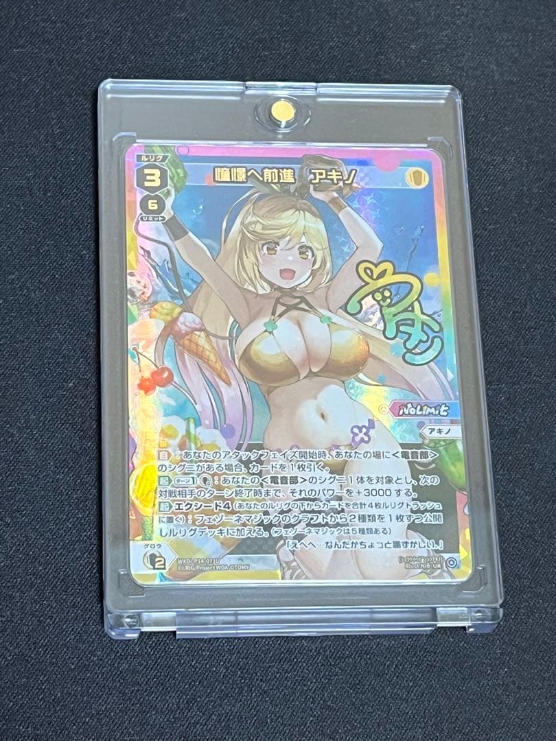 [匿名配送]憧憬へ前進　アキノ　UR