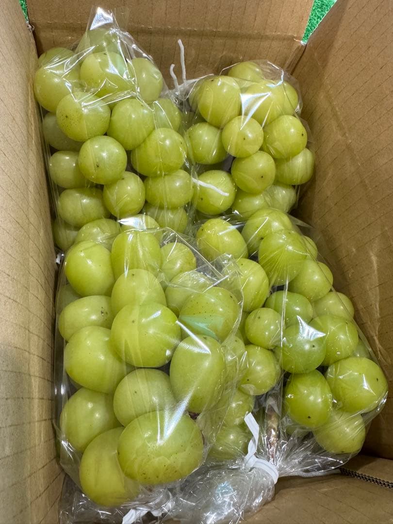 でんスケ　シャインマスカット　10キロ