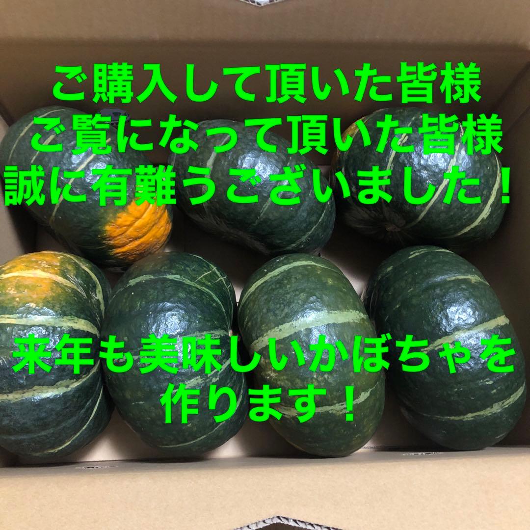 北海道産！かぼちゃ7玉入り 10kg！ ブラックのジョー！