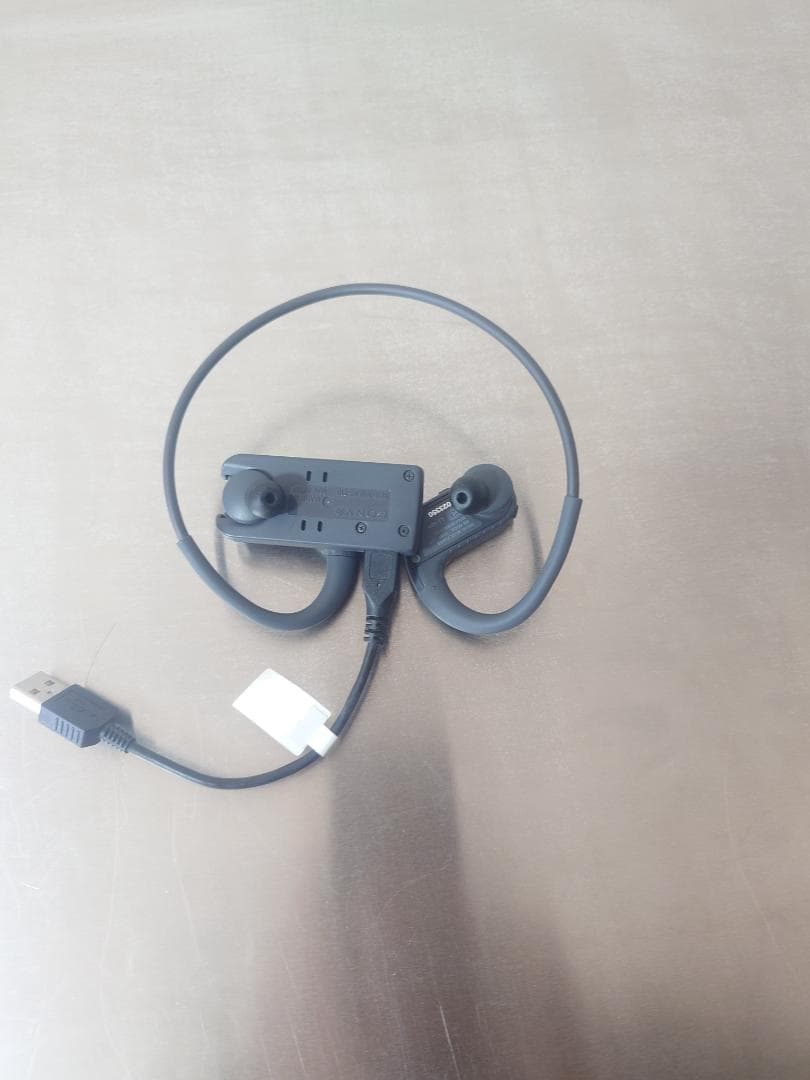 ソニー ヘッドホン一体型ウォークマン　NW-WS410