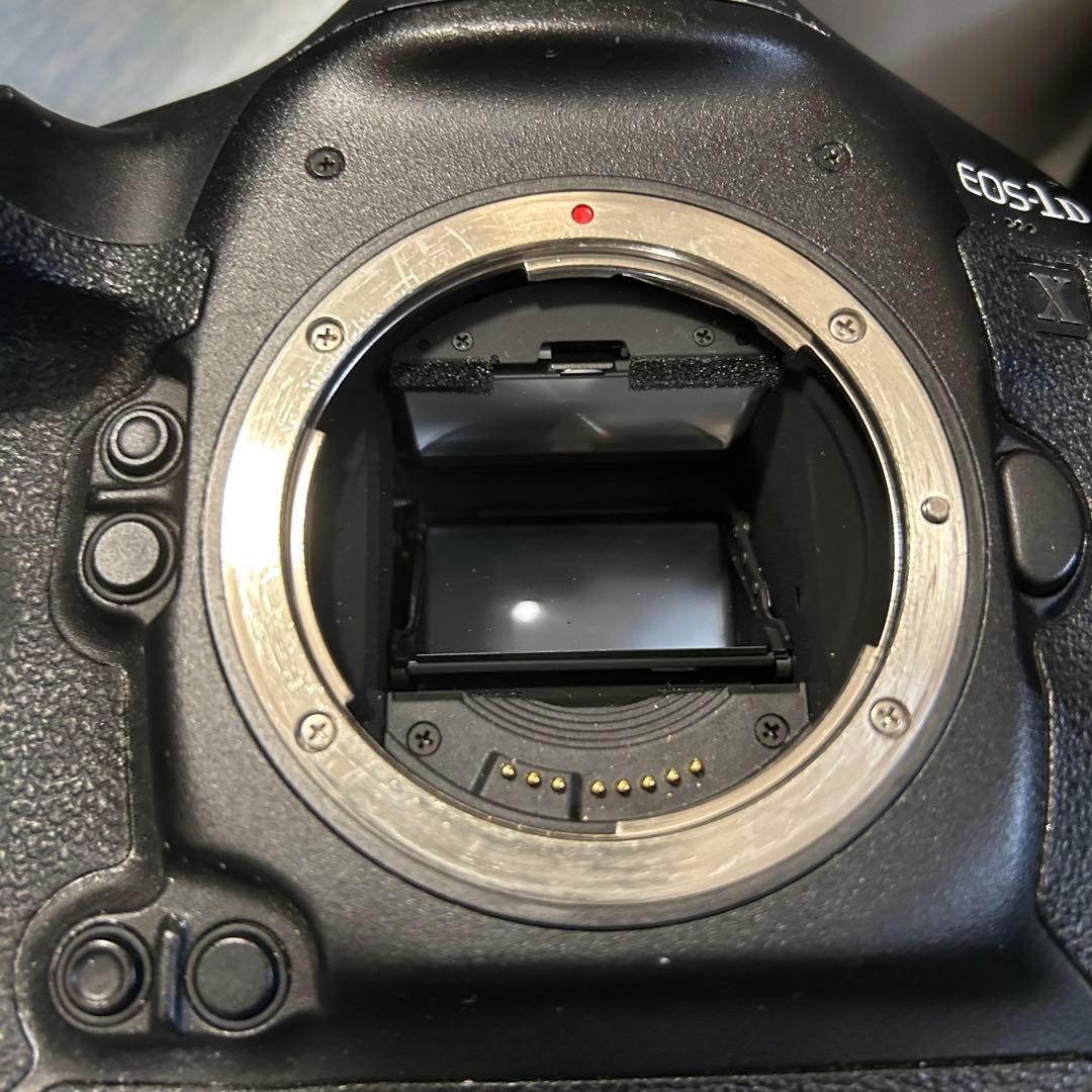 Canon EOS 1DX + EF 400mm単焦点レンズ セット