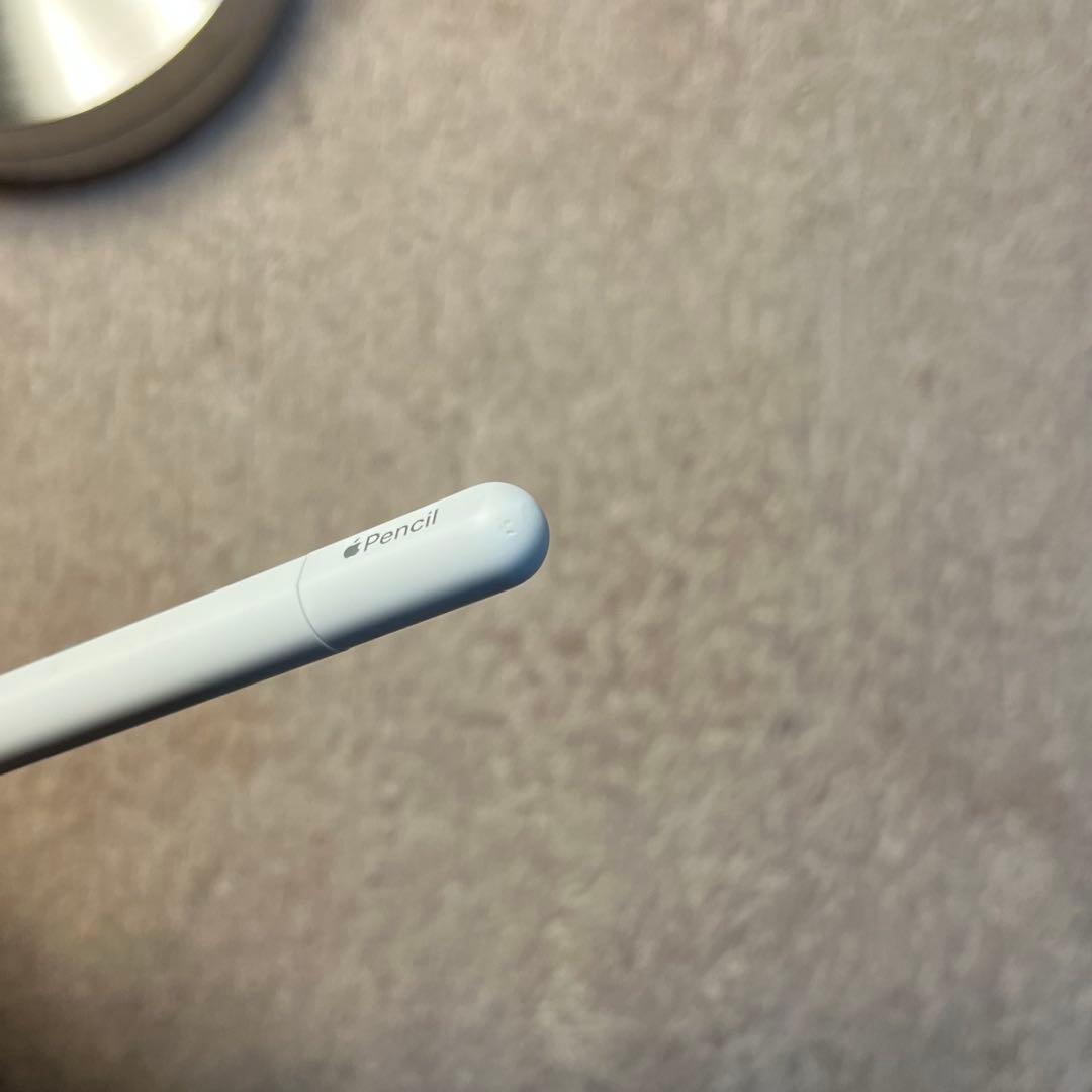 【美品・完備品】Apple Pencil (USB-C) | 箱・付属品あり