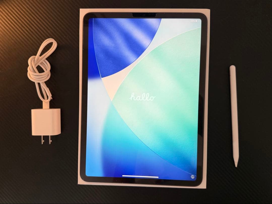 iPad Pro 第4世代 11インチ256GB