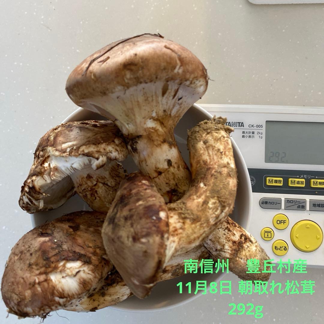 長野県 豊丘村産　松茸　292g 一部虫食い損傷有り