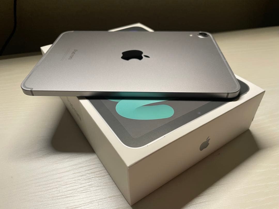 iPad mini 第7世代 Cellular /128GB スペースグレイ