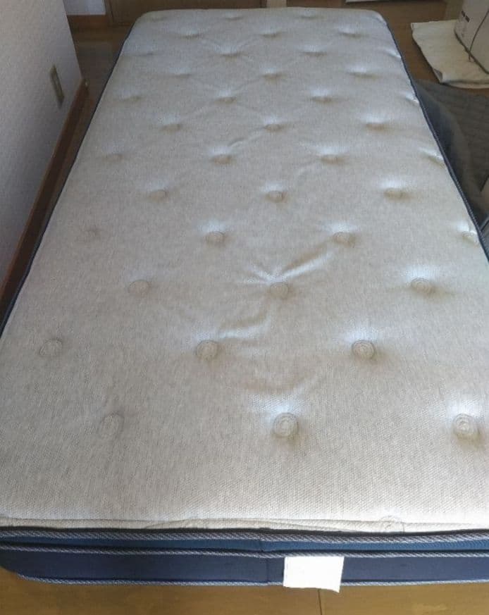 全国送料！ニトリ デュアルポケット2 ハイグレード シルキー