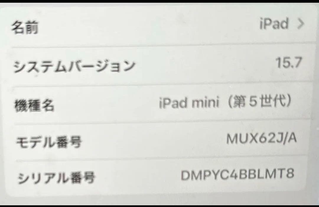iPad mini 64GB 第5世代Wi-Fi + Cellularモデル