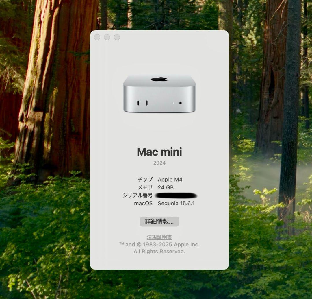 Mac mini Apple M4チップ 24GBメモリ 512GB
