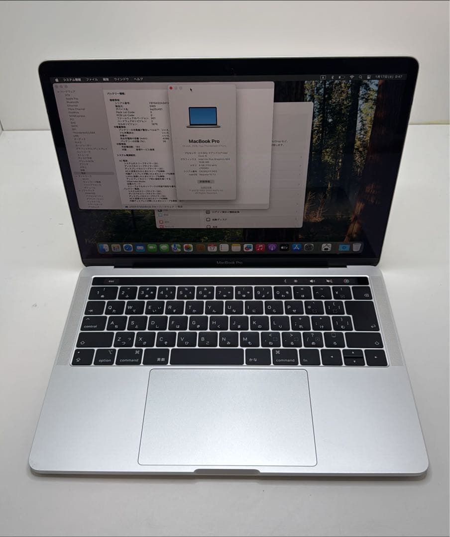 MacBook Pro 13.3インチ Mid 2018 IC310355