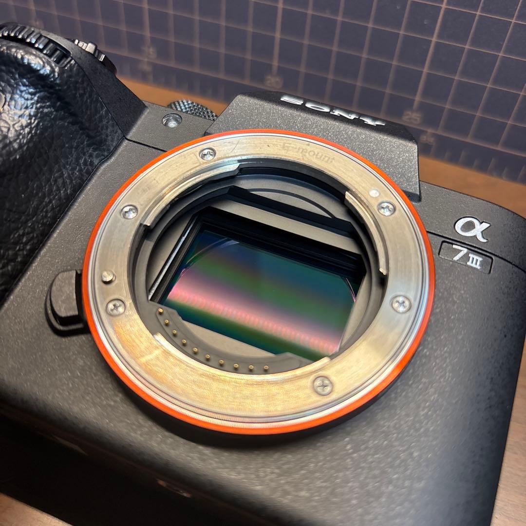 sai　12/13 23時まで【良品】SONY α7 III ボディ