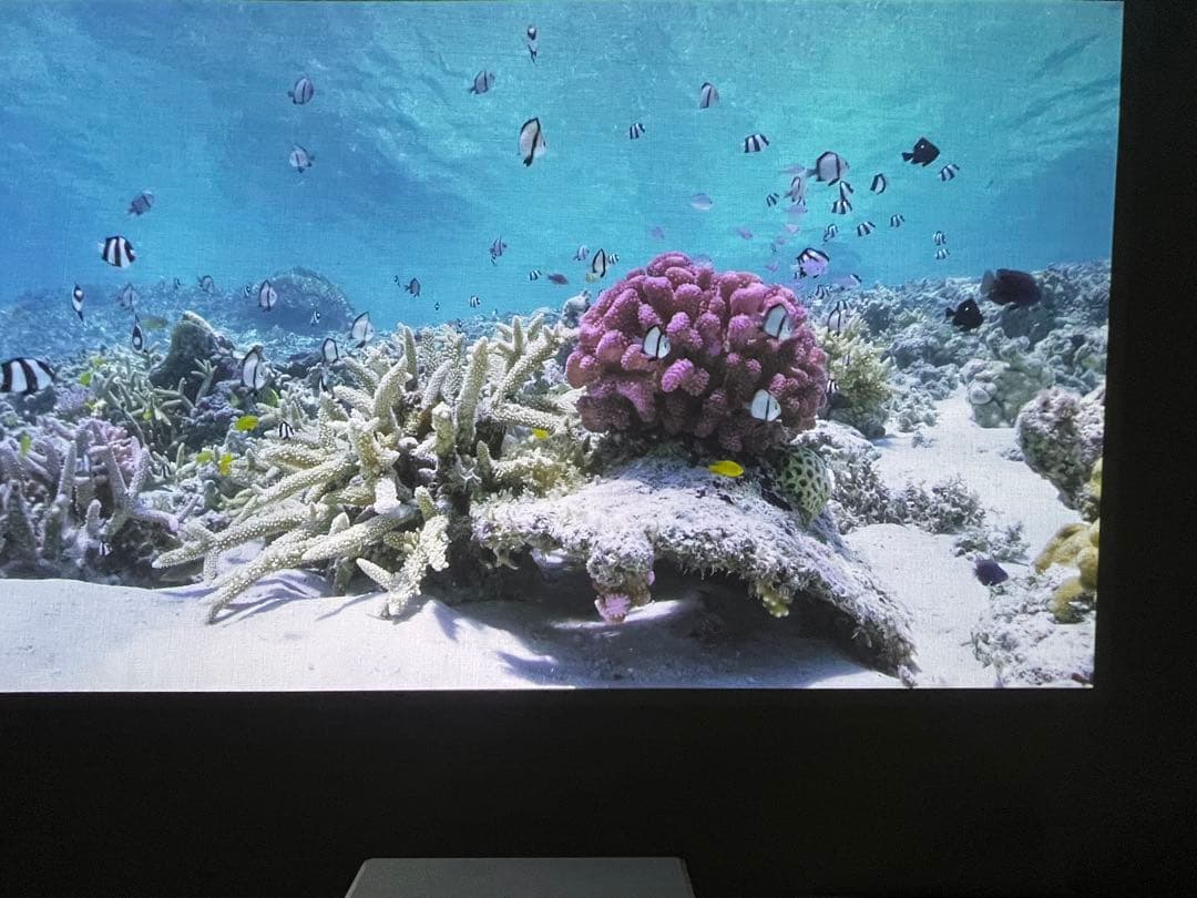 「美品」Aladdin Marca 専用スタンドおまけ