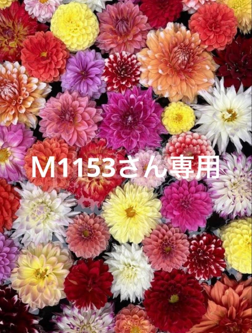 サプリメント3箱