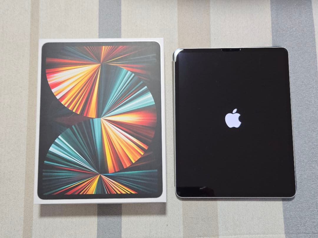 【極美品】Apple iPad Pro 12.9 第5世代 256GB