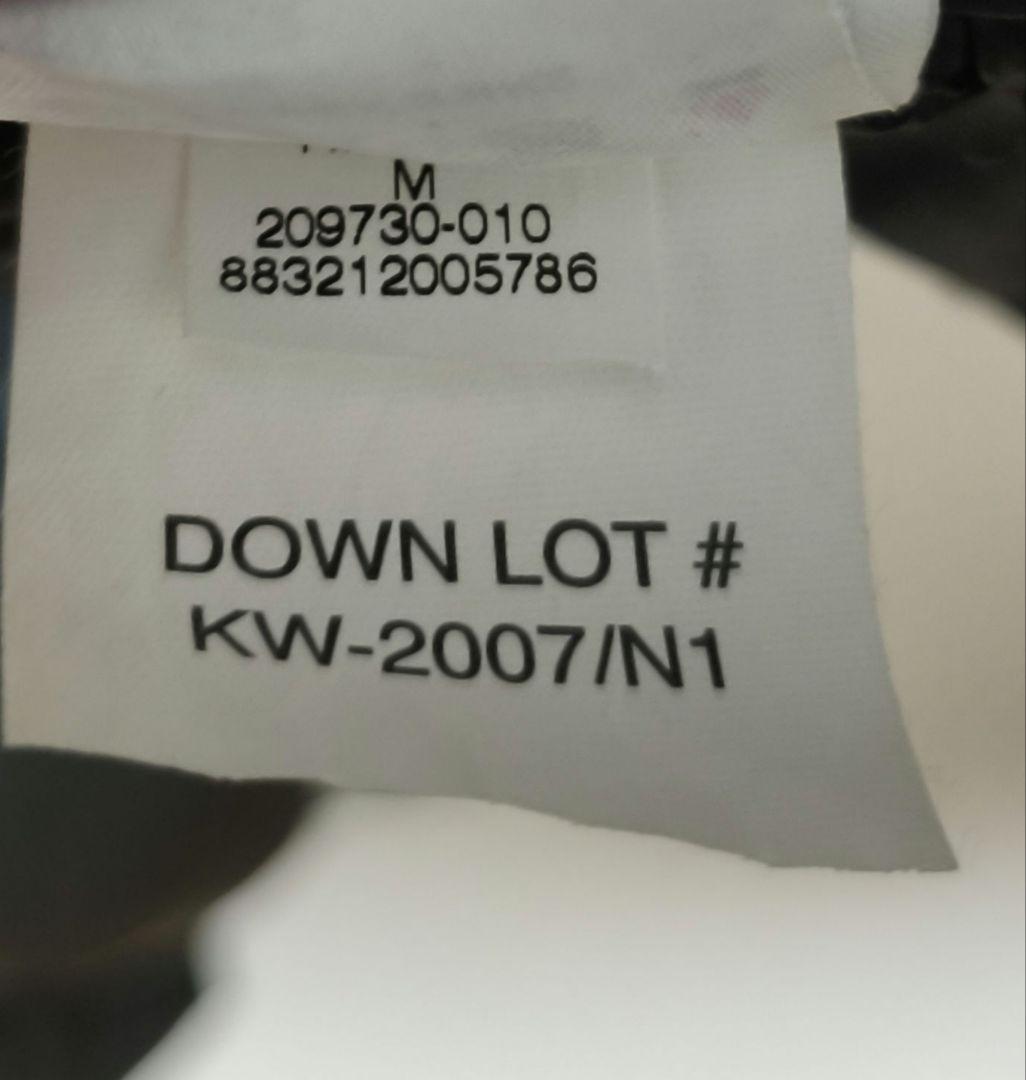 Nike ACG 00s ダウンジャケット 黒　M 800フィル