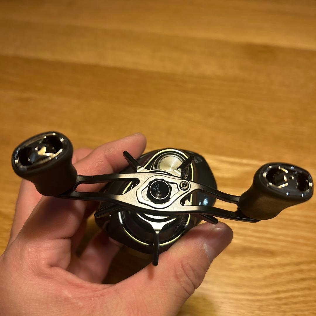 ダイワ 24スティーズ SV TW 100XHL