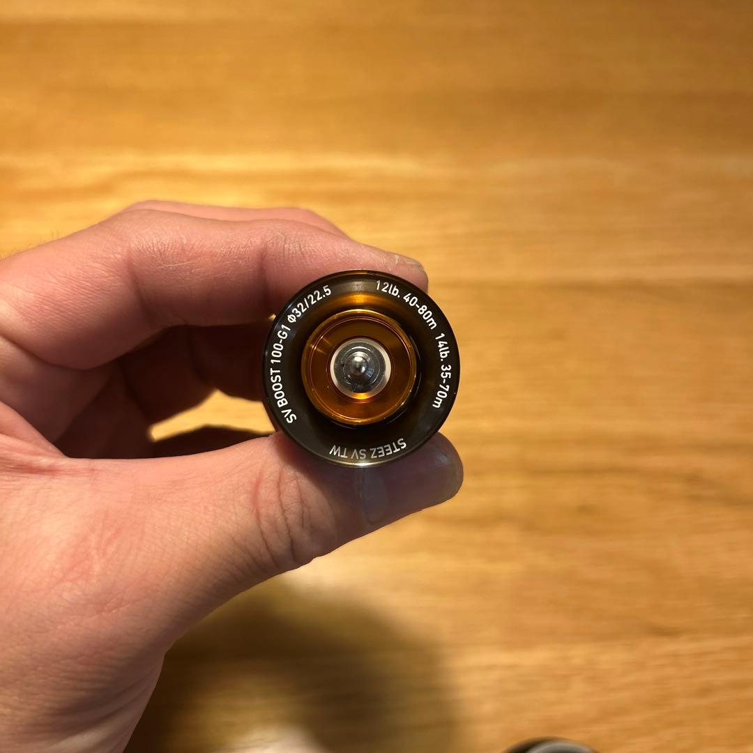 ダイワ 24スティーズ SV TW 100XHL