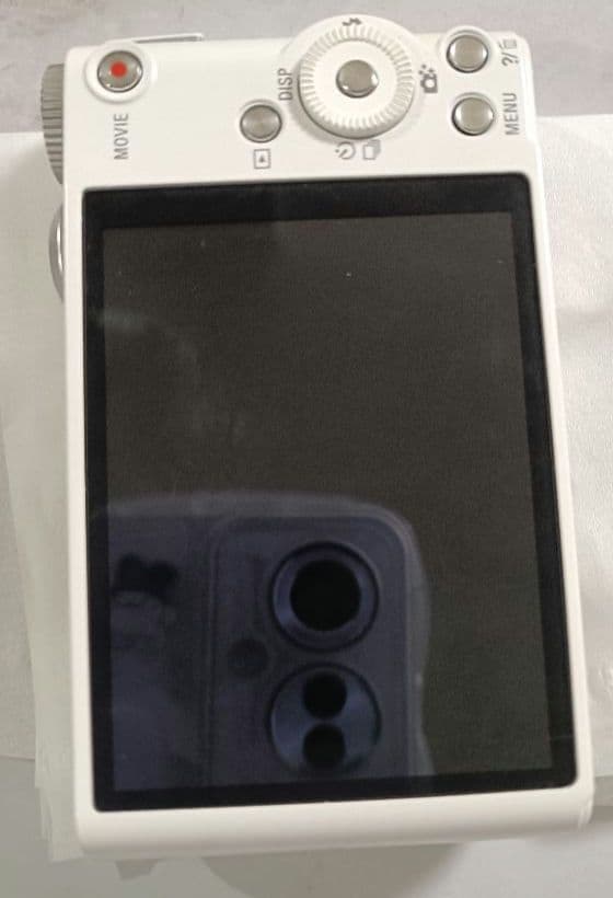 SONY DSC-WX300 ホワイト コンパクトデジタルカメラ