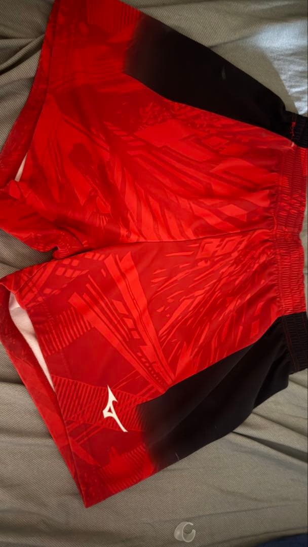 日本大学ゲーパンMizuno 2XL 赤 グラフィックパンツ