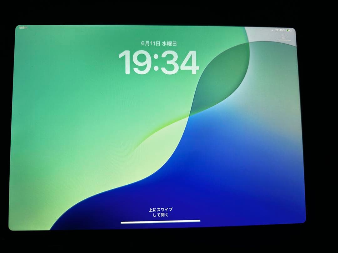 iPad Pro 11インチ 1TB M1 wi-fi +Cellular 本体