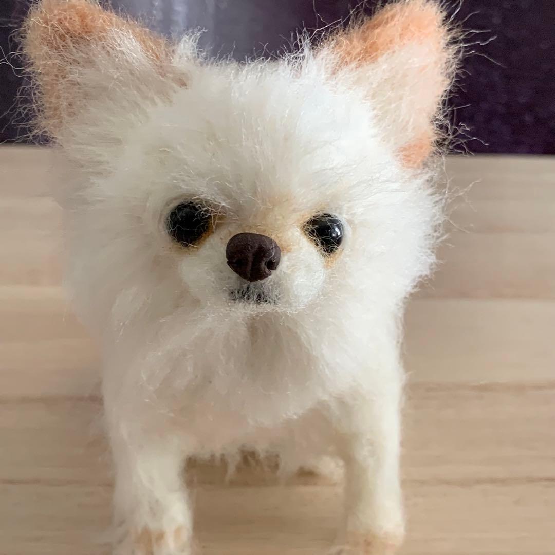 羊毛フェルト　チワワ　エリック様