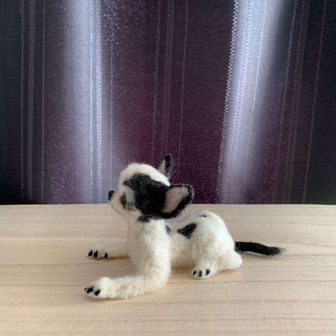 羊毛フェルト　チワワ　エリック様