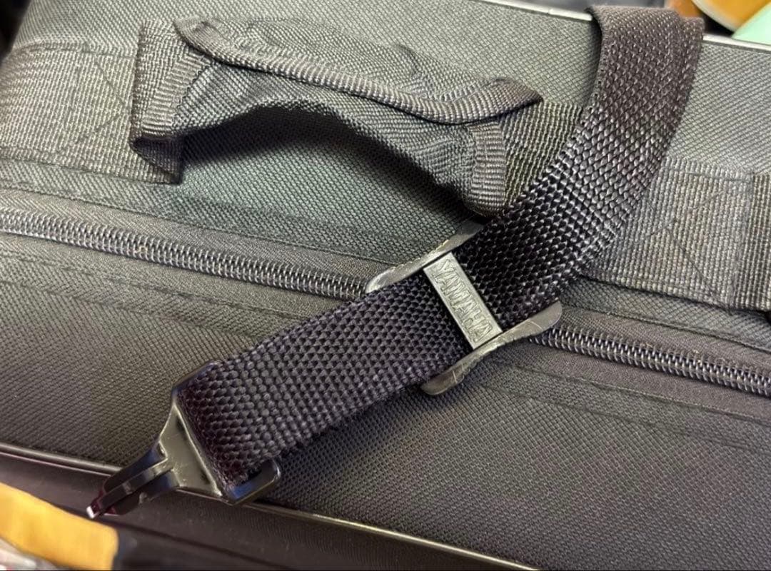 PLAYTECH PTAS-350 アルトサックスローズブラス +α