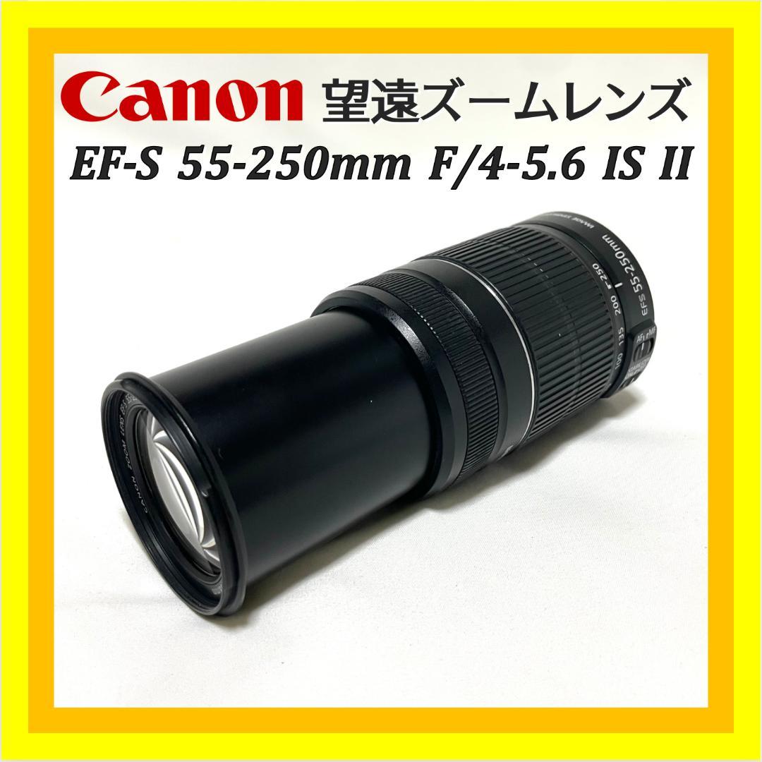 優秀な手ブレ補正❣️ Canon EF-S 55-250mm IS II 軽量