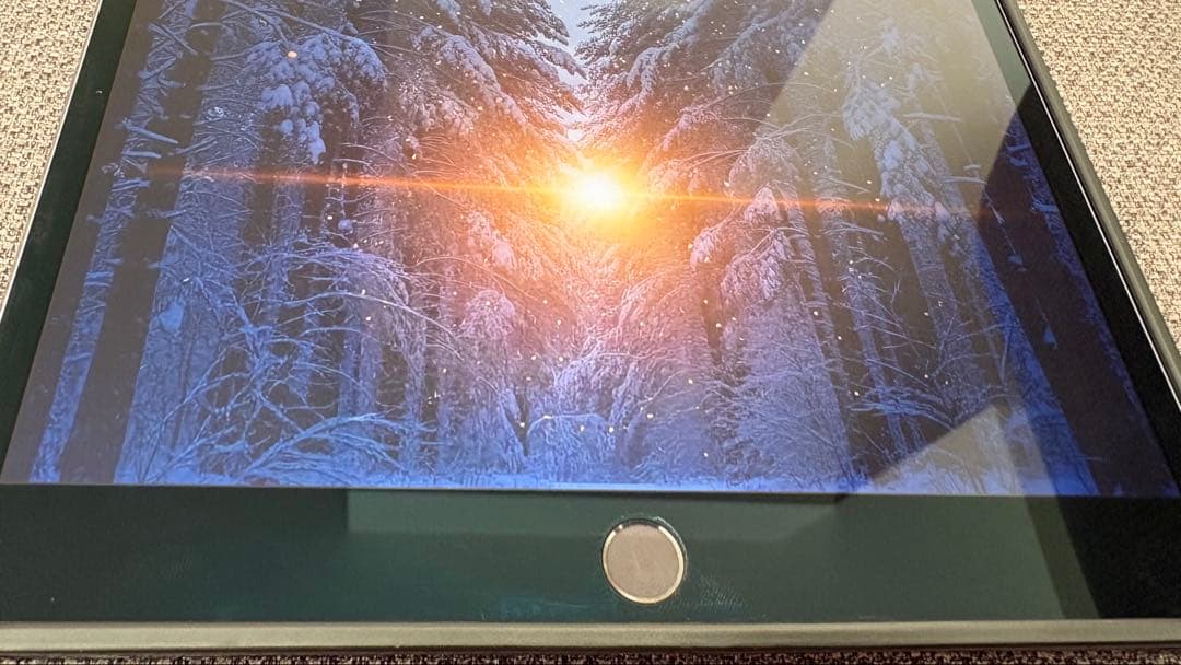 【120Hz高精細】iPad Pro 10.5 64GB スペースグレイ