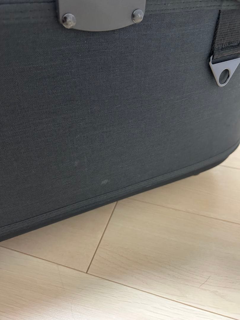 本体AIRBUGGY エアバギードーム3 ラージ アースブラックレイカバー付