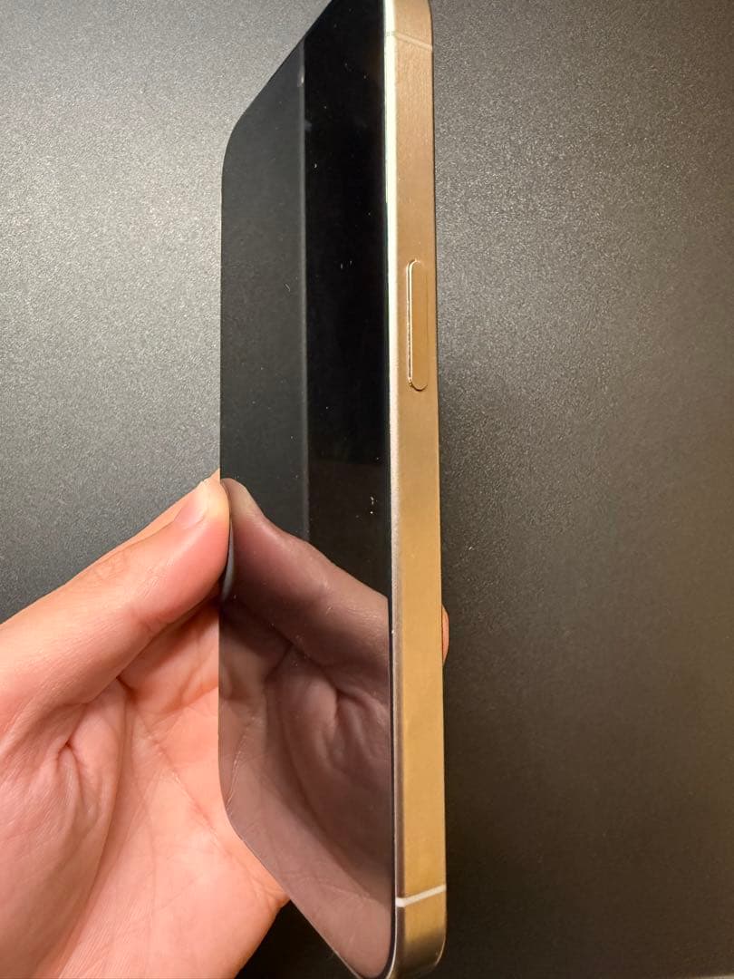 Apple iPhone 15 Pro 256GB ナチュラルチタニウム