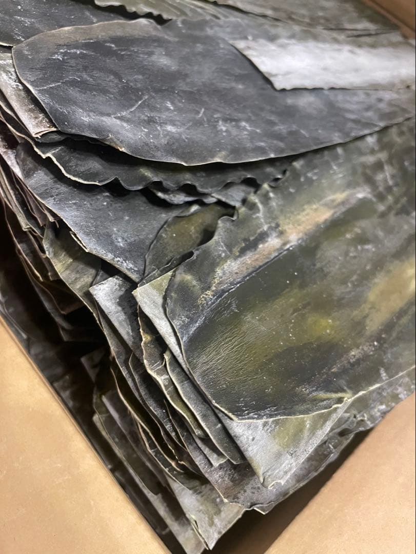 旧南茅部産 真昆布 最高級銘柄 業務用　プロ用