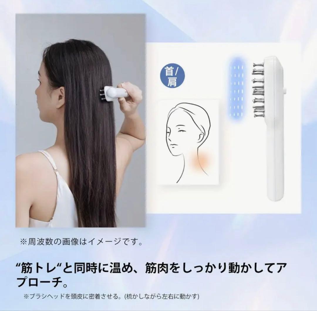 【2025年最新モデル】TAQISONG RF高周波電気ブラシ