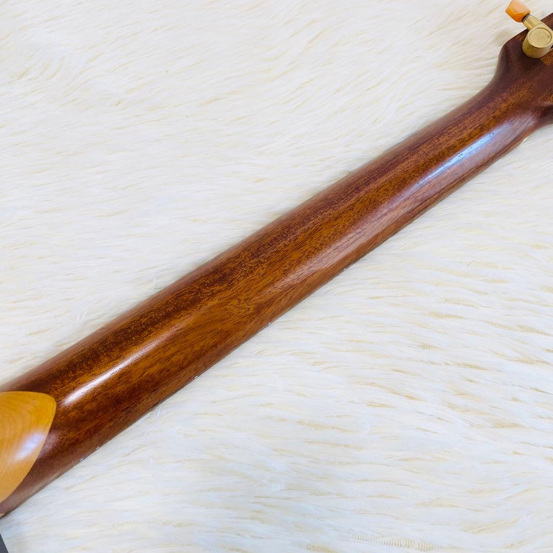 美品 YAMAHA ヤマハ SLG-100S 付属品多数