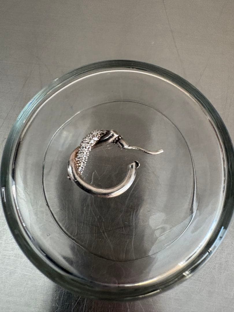 ボッテガヴェネタ BOTTEGA VENETA ピアス　片耳