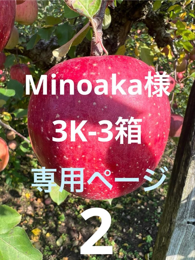 Minoaka　3K-3箱 2