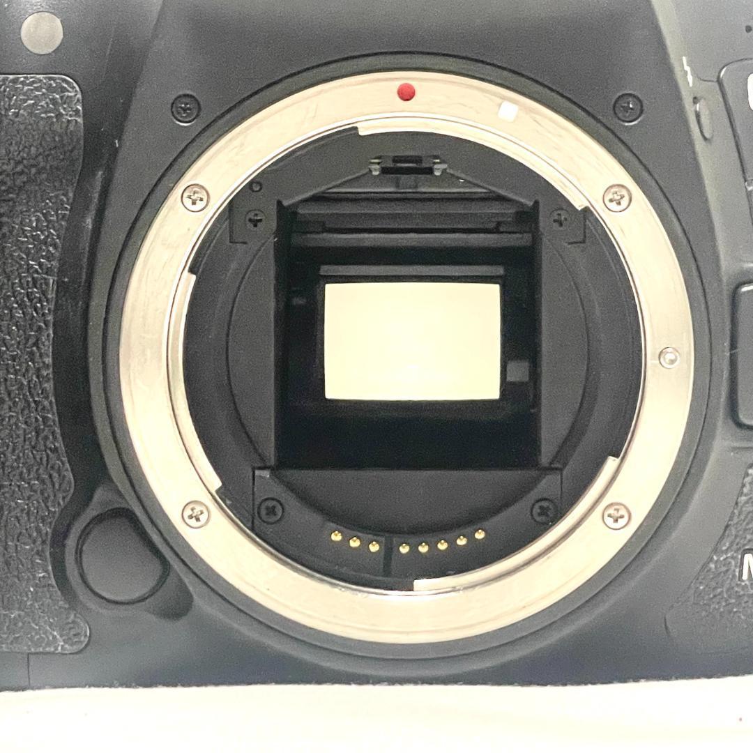 動く被写体に強い❣️ Canon EOS 7D Mark II Wレンズセット