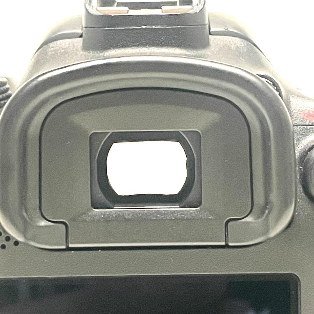 動く被写体に強い❣️ Canon EOS 7D Mark II Wレンズセット